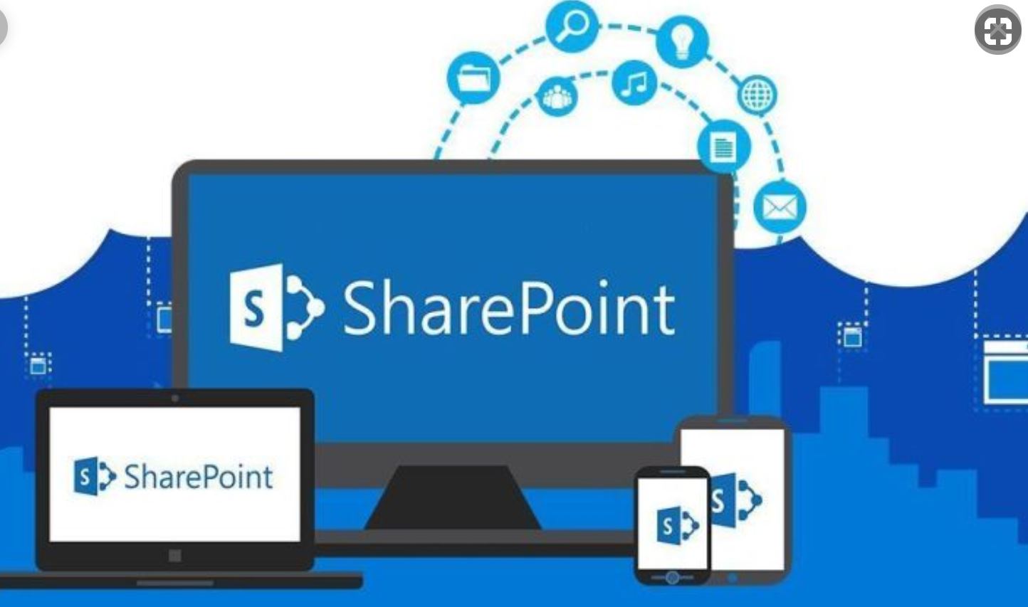 הדרכה של SharePoint 2013